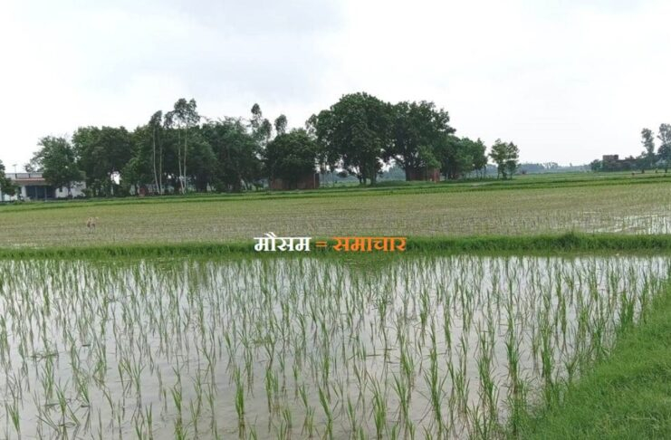 जौनपुर समेत यूपी के 59 जिलों में भारी बारिश -वज्रपात के संकेत