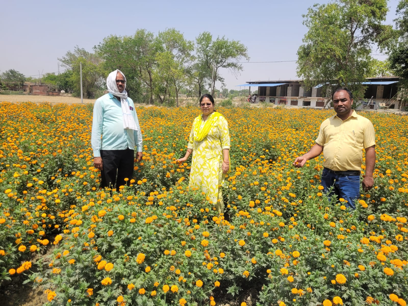 पारंपरिक खेती से फूलों की खेती तकः आत्मनिर्भरता की प्रेरक मिसाल