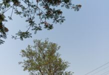 Weather Today