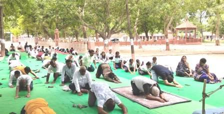 JAUNPUR NEWS: अंतर्राष्ट्रीय योग दिवस: विभिन्न जगहों पर हुआ योगाभ्यास 1 JAUNPUR NEWS अंतर्राष्ट्रीय योग दिवस विभिन्न जगहों पर हुआ योगाभ्यास