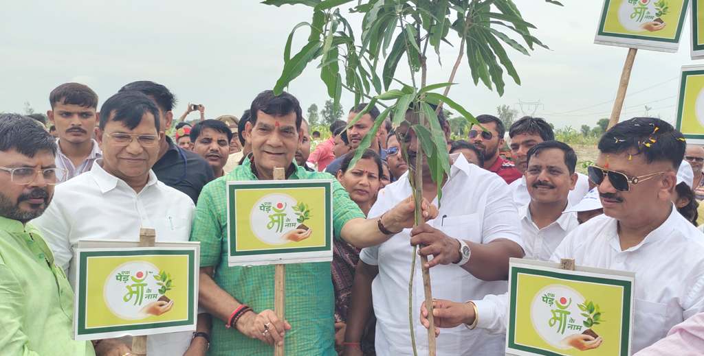 JAUNPUR PLANTATION IMAGES NEWS 2 JAUNPUR PLANTATION IMAGES NEWS