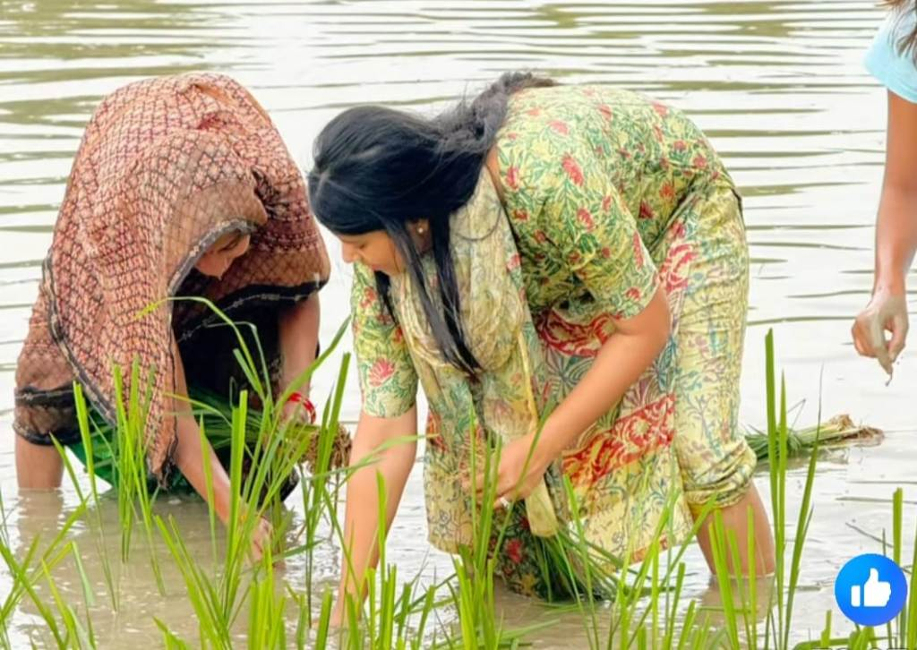 Mp Priya Saroj,धान रोपाई करते सांसद प्रिया सरोज की Reel वायरल