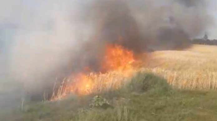 आग लगने से छह बीघा गेहूं की फसल जलकर राख,किसानों को भारी नुकसान