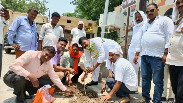 विश्व पर्यावरण दिवस पर एक पेड़ माँ के नाम मुहिम के तहत पौधरोपण