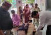 आम तोड़ने गए दो युवकों को मधुमखियों ने काटा अस्पताल में भर्ती