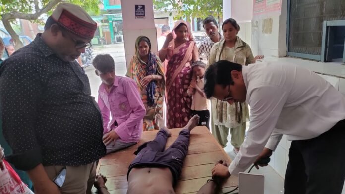 आम तोड़ने गए दो युवकों को मधुमखियों ने काटा अस्पताल में भर्ती
