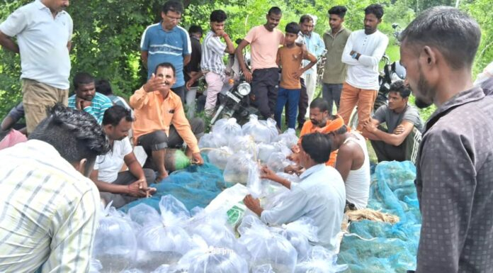 गूजरताल पर शुरू हुआ मत्स्य बीज वितरण अभियान,पहले दिन 4 लाख बिक्री