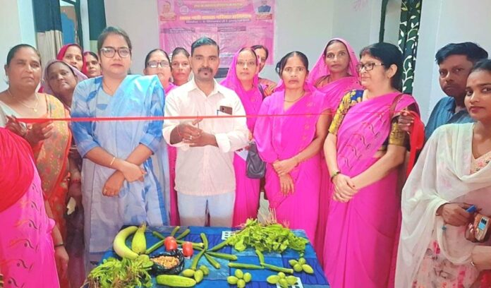 स्वस्थ नारी,सशक्त परिवार अभियान का हुआ शुभारंभ